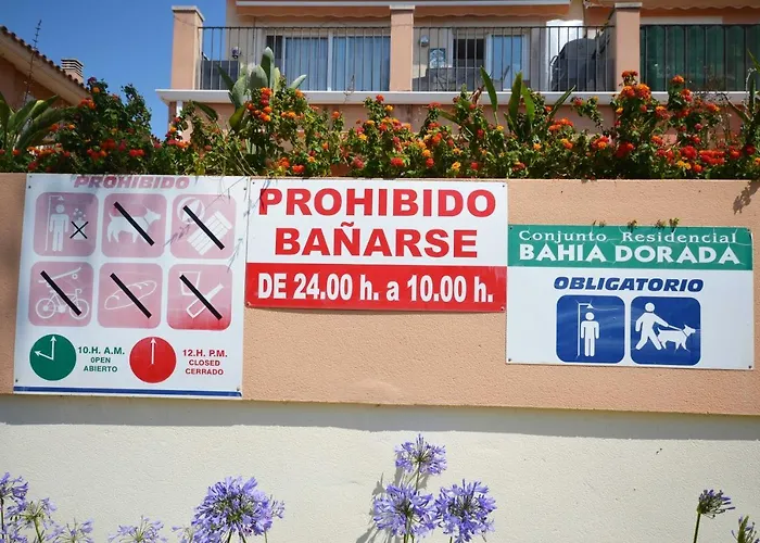 Golive Bahia *